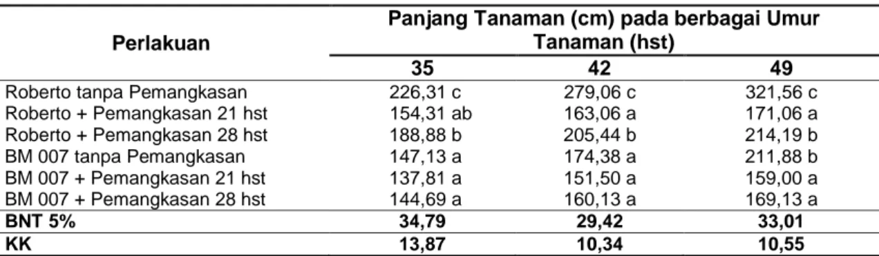 Tabel  1.  Rerata  Jumlah  Panjang  Tanaman  pada  Perbedaan  Penggunaan  Dua  Varietas 
