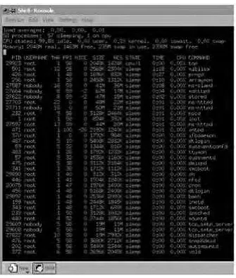 Figure 5-1. top Command Output