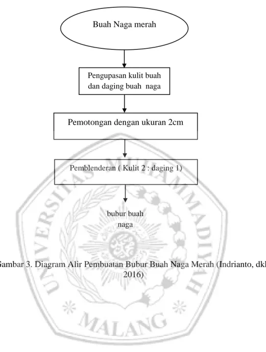 Gambar 3. Diagram Alir Pembuatan Bubur Buah Naga Merah (Indrianto, dkk,  2016) 
