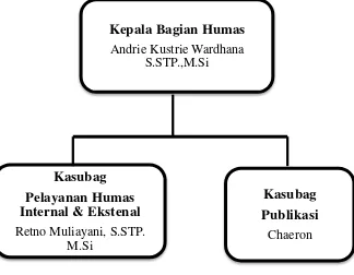 Gambar 1.3 Struktur Bagian Humas Pemerintah Provinsi Jawa Barat  