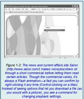 Figure 1-2: The news and current affairs site Salon
