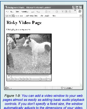 Figure 1-9: You can add a video window to your web