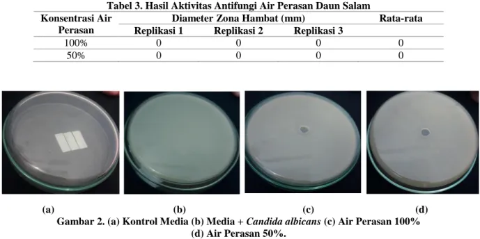 Tabel 3. Hasil Aktivitas Antifungi Air Perasan Daun Salam  Konsentrasi Air 