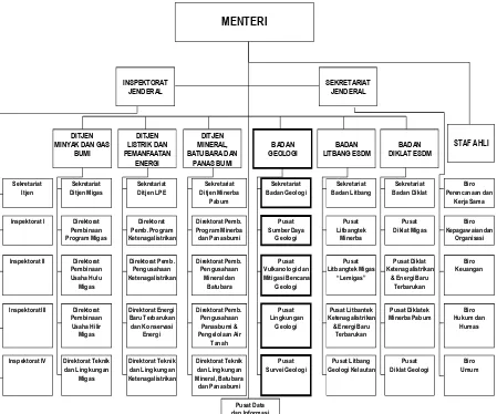 Gambar 3.1. Struktur Organisasi ESD