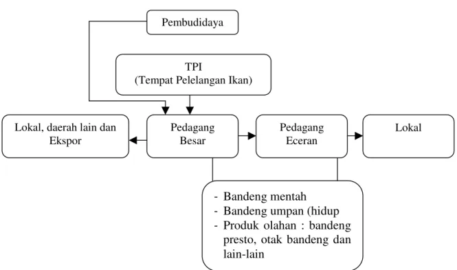 Gambar 1. Rantai Pemasaran Bandeng di Jawa tengah (Prasetio et al., 2010)  Saluran  pemasaran  sebagai 