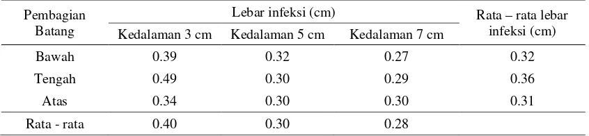 Tabel 4.Lebar infeksi Fusarium sp.