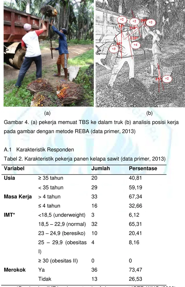 Tabel 2. Karakteristik pekerja panen kelapa sawit (data primer, 2013) 