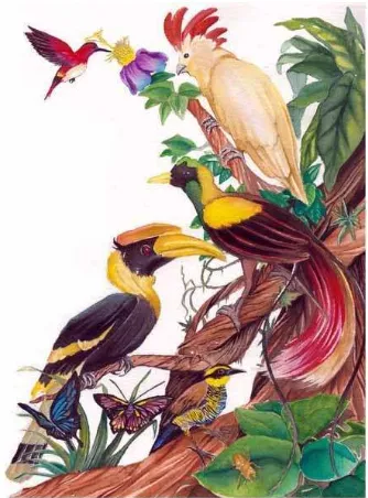 Gambar 7. Ilustrasi burung karya Shandy. 