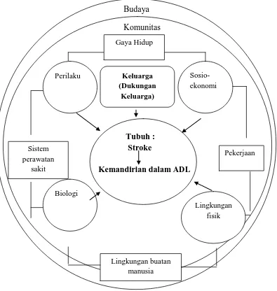Gambar 1. Kerangka Teori Mandala of Health (Sumber: Hancock, 1985 dengan modifikasi Hardywinoto, 2007)  