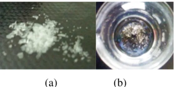 Gambar 1. (a) aerogel hasil sintesis menggunakan TMCS 6% dan (b) aerogel pecah ketika 