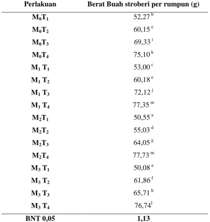 Tabel  3.Rata-rata  berat  buah  strobery  akibat  pengaruh  interaksi  antara  perlakuan  mulsa  organik  dan  perbandingan media tanaman (g)