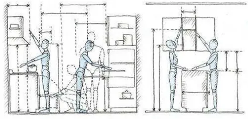 Gambar 3. Proporsi tubuh manusia 