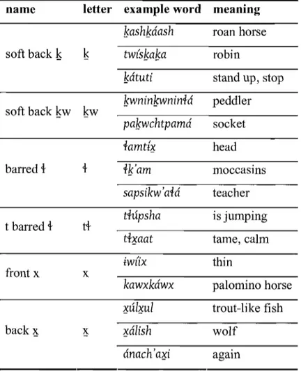 TABLE 2.7. EXAMPLE WORDS: CONSONANTS WITH NON-ENGLISH SOUNDS