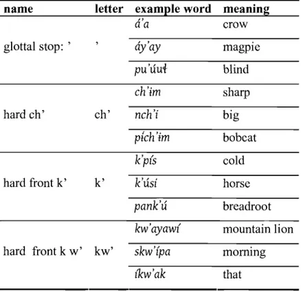 TABLE 2.8. EXAMPLE WORDS: GLOTTALIZED CONSONANTS