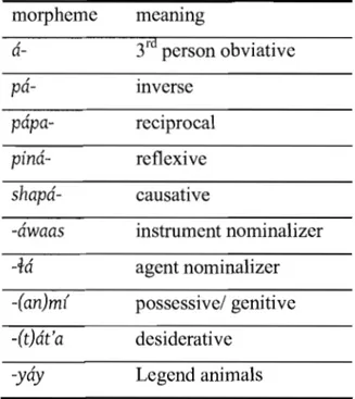 TABLE 2.10. SELECTED STRESS-STEALING PREFIXES AND SUFFIXES morpheme  a- pa- papa- pina- shapa--awaas -ia -(an)m{ -(t)at'a -yay meanmg3rd person obviativemversereciprocalreflexivecausative instrument nominalizeragent nominalizerpossessive/ genitivedesiderat