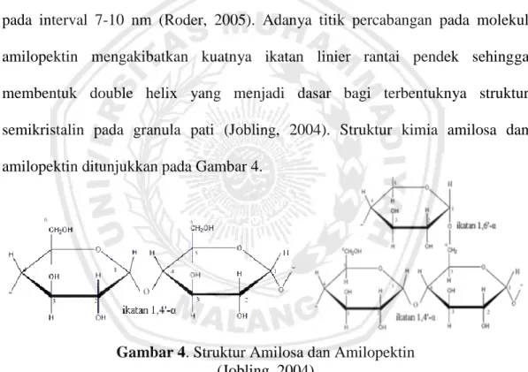 Gambar 4. Struktur Amilosa dan Amilopektin  (Jobling, 2004) 
