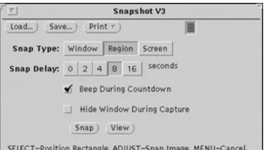 Figure 4-3: A typical TWM window.