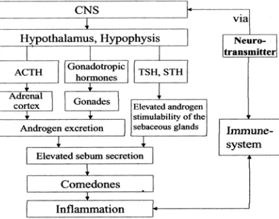 Gambar 1. Pengaruh faktor psikoendokrin dan psikoimunologi   terhadap timbulnya akne. CNS = Central nervous system, ACTH : Adrenocorticotropin, TSH : Tyroid-stimulating hormone, STH : Somatrotropic hormone 