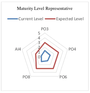 Figure 2. Maturity Level Representative 