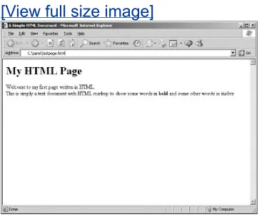 Figure 2.1. Our test document displayed inInternet Explorer.