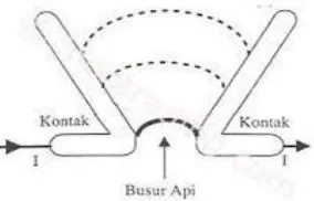Gambar 2.9 Kontak sela tanduk 
