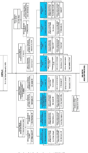 Gambar 2.1 Struktur Organisasi PUSAIR 