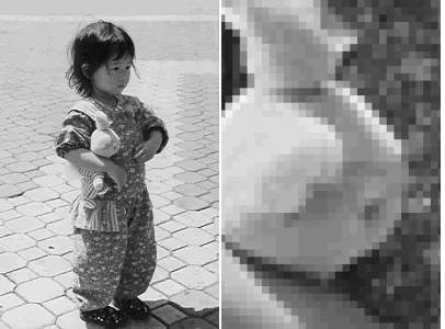 Figure 1.6: Grayscale image on the left, and its enlarged pixels on the right.