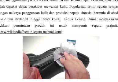 Gambar 2.1: Semir Sepatu 