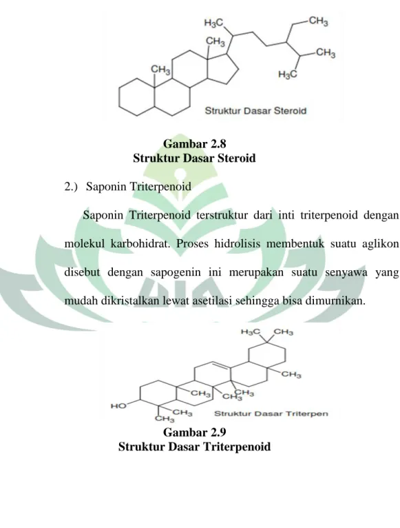 Gambar 2.8  Struktur Dasar Steroid 