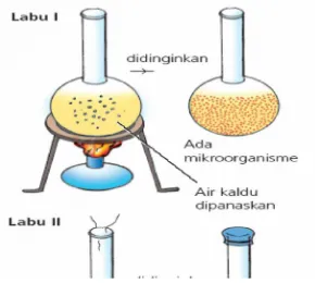Gambar 1. Percobaan Fransisco Redi