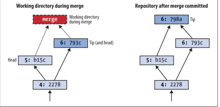 Figure 3-3. Working directory and repository during merge, and following commit