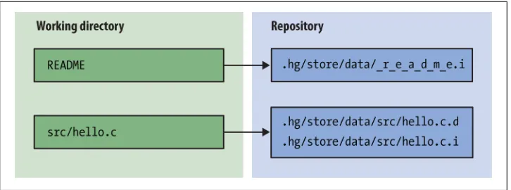 Figure 4-1. Relationships between files in working directory and filelogs in repository