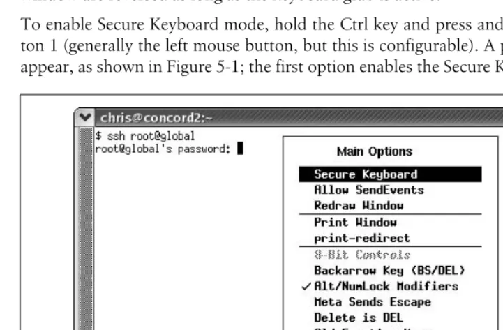 Figure 5-1. The Secure Keyboard menu option in xterm