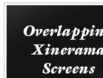 Figure 4-5. The projected screen (an 800 × 600 subset of the control screen)