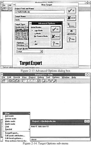 Figure 2-13 Advanced Options dialog box
