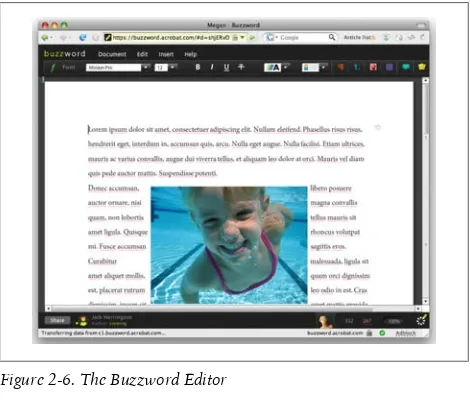 Figure 2-6. The Buzzword Editor