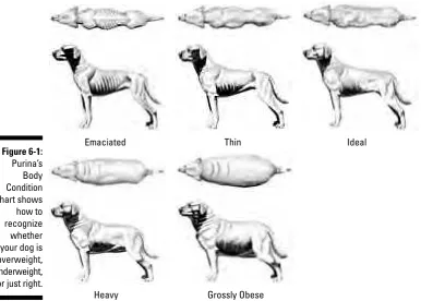 Figure 6-1:Purina’s