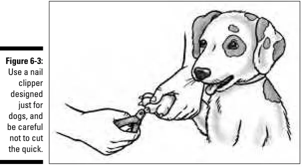 Figure 6-3:Use a nail