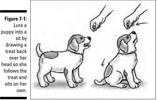Figure 7-1:Lure a