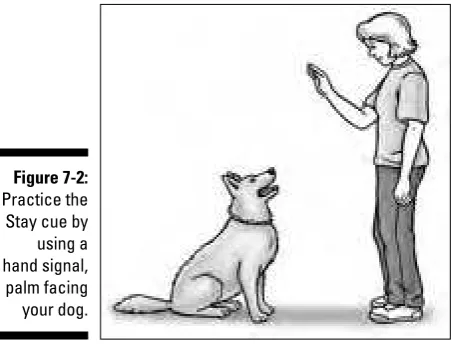 Figure 7-2:Practice the