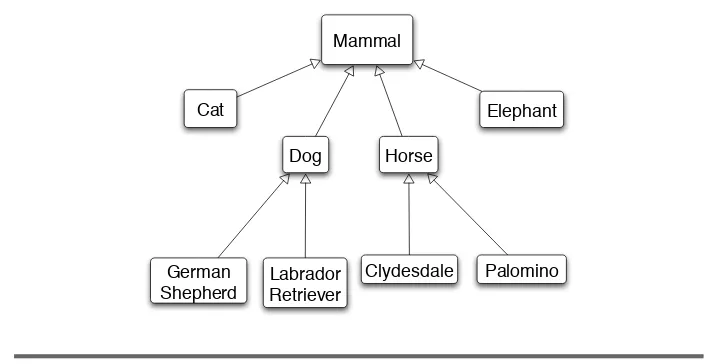 Figure 5.3: Mammalian hierarchy