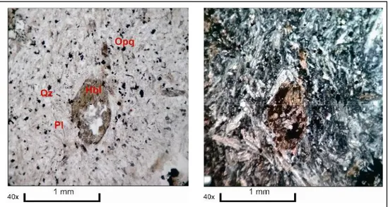Gambar 8. Foto petrografis Litodem diorite pada sampel RA 57. (Kanan nikol sejajar dan kiri nikol  silang) 