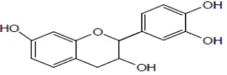Gambar 3. Struktur molekul tannin [Mukhlisoh, 2010] 