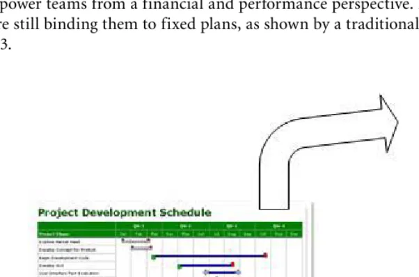 Figure 3.3  Beyond Project Plans