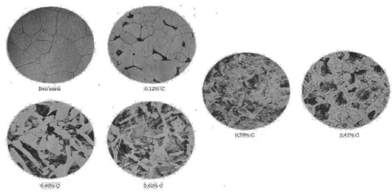 Gambar 2.1 Mikrofoto efek pertambahan karbon atas struktur logam 