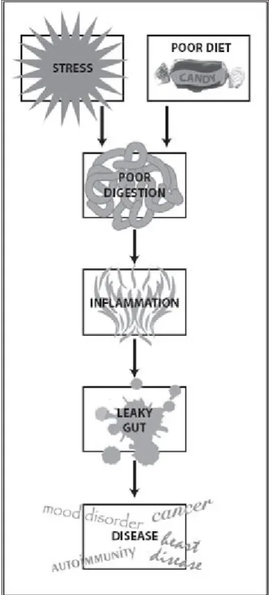 Figure 3.3. Leaky gut: genesis and implications.