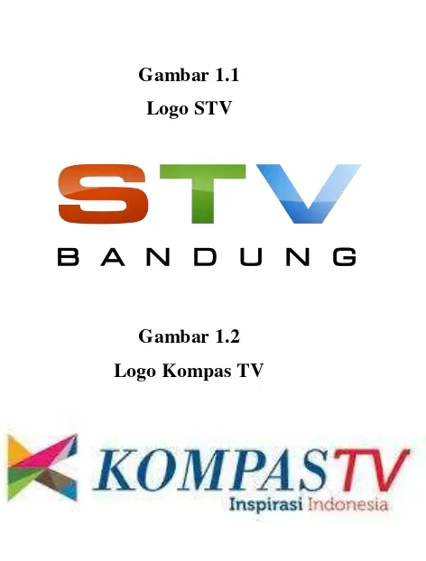 Gambar 1.1 Logo STV 