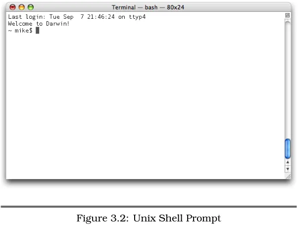 Figure 3.2: Unix Shell Prompt