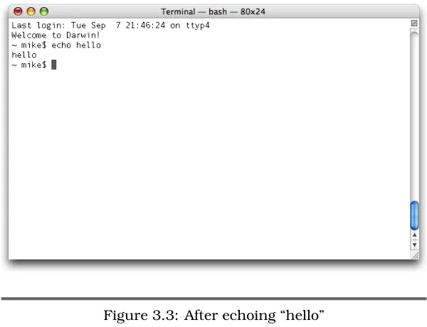 Figure 3.3: After echoing “hello”