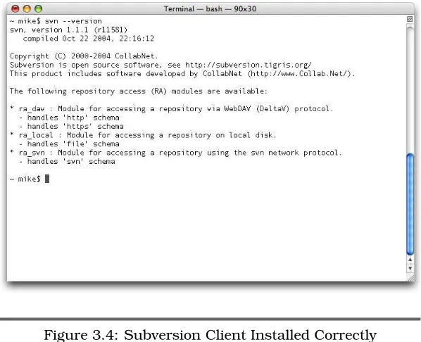 Figure 3.4: Subversion Client Installed Correctly